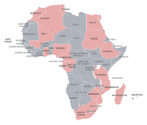 Resource nationalism in Africa: issues for Chinese investors